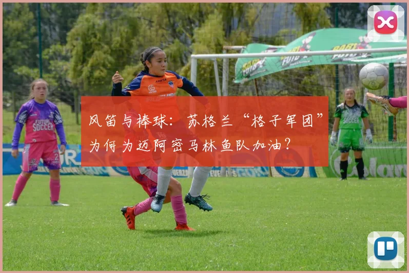 风笛与棒球：苏格兰“格子军团”为何为迈阿密马林鱼队加油？