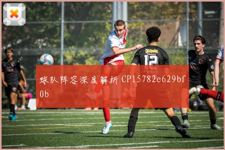 球队阵容深度解析 CP15782e629bf0b